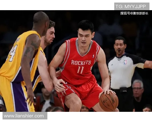 姚明在职业生涯中篮板数据分析及其对比赛的影响探讨 姚明在职业生涯中篮板数据分析及其对比赛的影响探讨